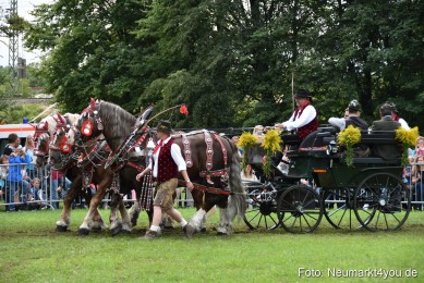 JURA-Volksfest-Pferdeshow-190819-0341