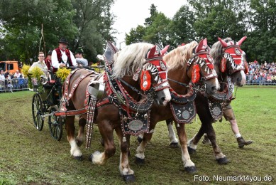 JURA-Volksfest-Pferdeshow-190819-0344
