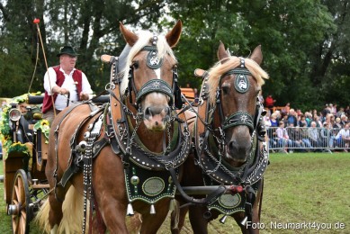 JURA-Volksfest-Pferdeshow-190819-0356