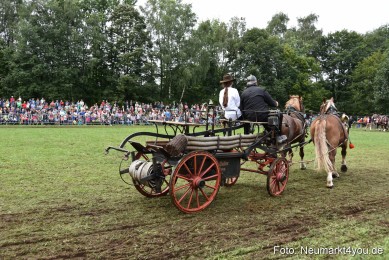 JURA-Volksfest-Pferdeshow-190819-0360