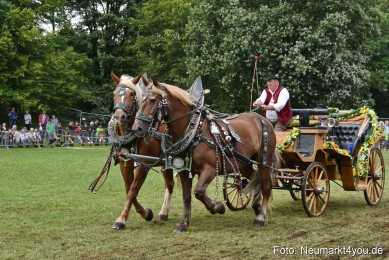 JURA-Volksfest-Pferdeshow-190819-0361