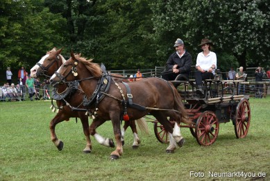 JURA-Volksfest-Pferdeshow-190819-0362