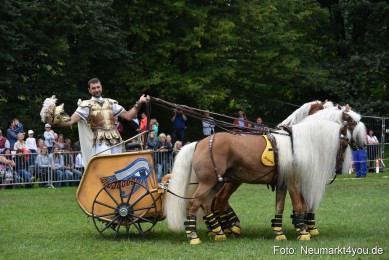 JURA-Volksfest-Pferdeshow-190819-0370