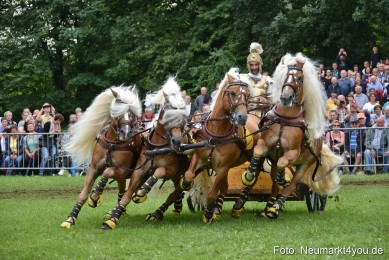 JURA-Volksfest-Pferdeshow-190819-0373
