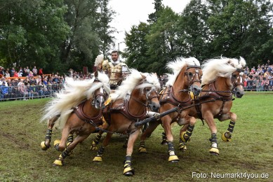 JURA-Volksfest-Pferdeshow-190819-0381