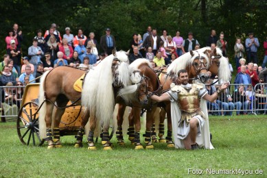 JURA-Volksfest-Pferdeshow-190819-0385