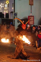 Oberpfaelzer-Schlossteufeln-171222-0060