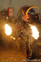 Oberpfaelzer-Schlossteufeln-171222-0065