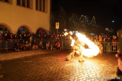 Oberpfaelzer-Schlossteufeln-171222-0095