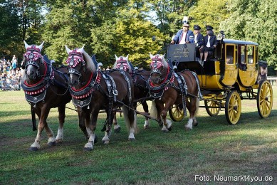 Pferde-und-Fohlenschau-2022-0007-