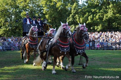 Pferde-und-Fohlenschau-2022-0018-