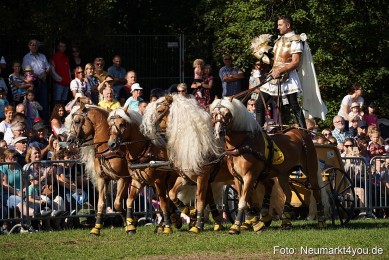 Pferde-und-Fohlenschau-2022-0019-