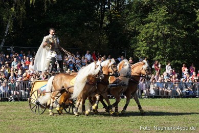 Pferde-und-Fohlenschau-2022-0023-