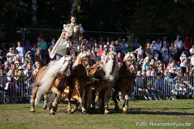 Pferde-und-Fohlenschau-2022-0024-