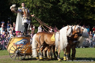 Pferde-und-Fohlenschau-2022-0025-