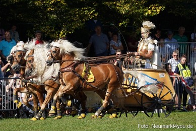 Pferde-und-Fohlenschau-2022-0027-