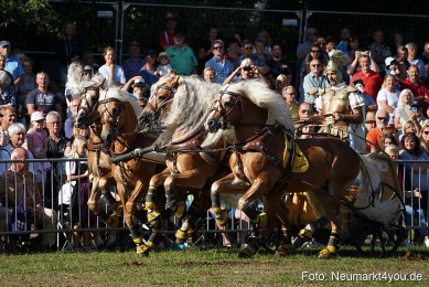 Pferde-und-Fohlenschau-2022-0028-