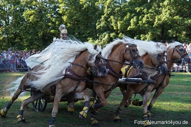 Pferde-und-Fohlenschau-2022-0029-