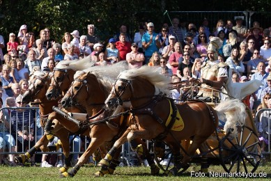 Pferde-und-Fohlenschau-2022-0030-