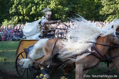 Pferde-und-Fohlenschau-2022-0031-