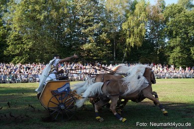 Pferde-und-Fohlenschau-2022-0035-
