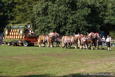 Pferde-und-Fohlenschau-2022-0036-