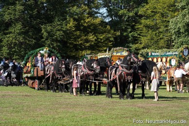 Pferde-und-Fohlenschau-2022-0037-