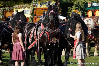 Pferde-und-Fohlenschau-2022-0038-