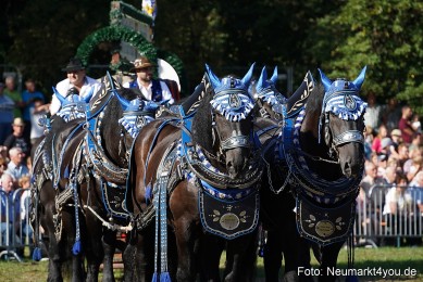 Pferde-und-Fohlenschau-2022-0039-