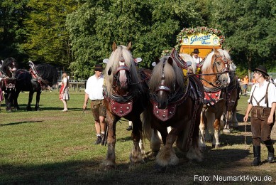 Pferde-und-Fohlenschau-2022-0043-