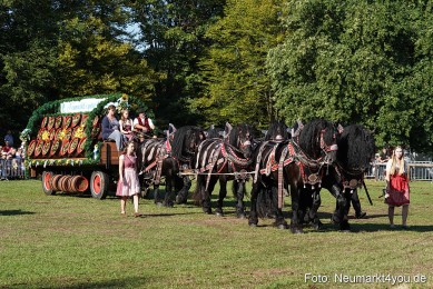 Pferde-und-Fohlenschau-2022-0045-