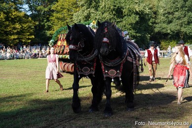 Pferde-und-Fohlenschau-2022-0047-