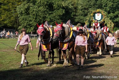 Pferde-und-Fohlenschau-2022-0052-