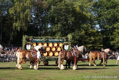 Pferde-und-Fohlenschau-2022-0055-