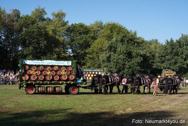 Pferde-und-Fohlenschau-2022-0059-