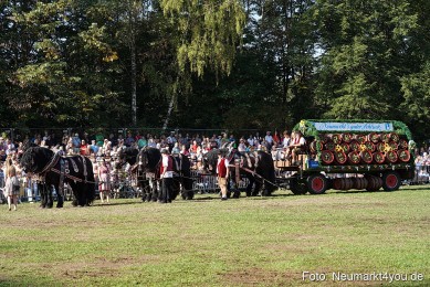 Pferde-und-Fohlenschau-2022-0061-