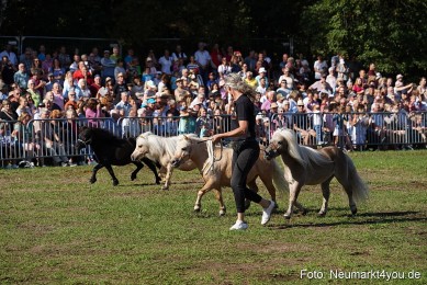 Pferde-und-Fohlenschau-2022-0067-