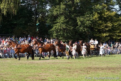 Pferde-und-Fohlenschau-2022-0068-