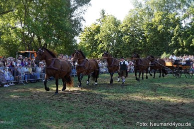 Pferde-und-Fohlenschau-2022-0070-