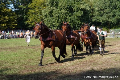 Pferde-und-Fohlenschau-2022-0074-
