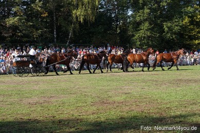 Pferde-und-Fohlenschau-2022-0075-