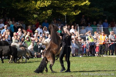 Pferde-und-Fohlenschau-2022-0077-