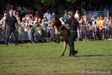 Pferde-und-Fohlenschau-2022-0080-