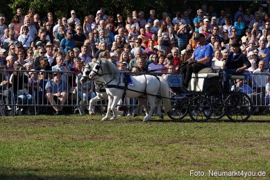 Pferde-und-Fohlenschau-2022-0086-