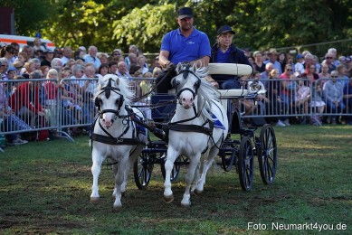Pferde-und-Fohlenschau-2022-0087-