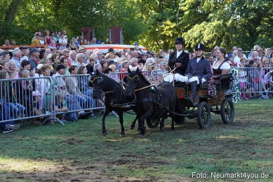 Pferde-und-Fohlenschau-2022-0088-