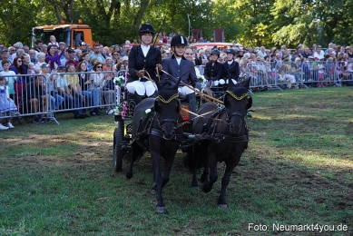 Pferde-und-Fohlenschau-2022-0089-