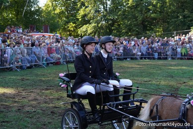 Pferde-und-Fohlenschau-2022-0090-