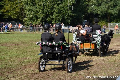 Pferde-und-Fohlenschau-2022-0091-