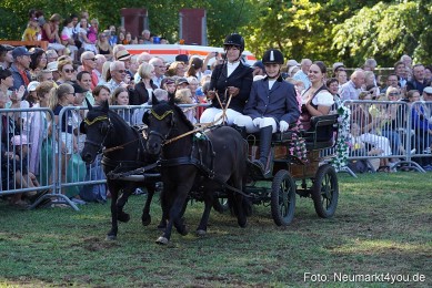 Pferde-und-Fohlenschau-2022-0092-